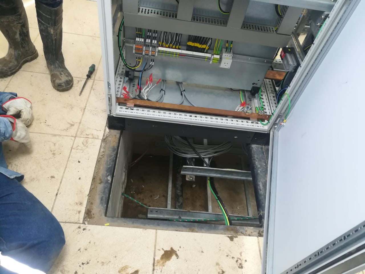 WhatsApp Image 2020-01-31 at 16.32.19