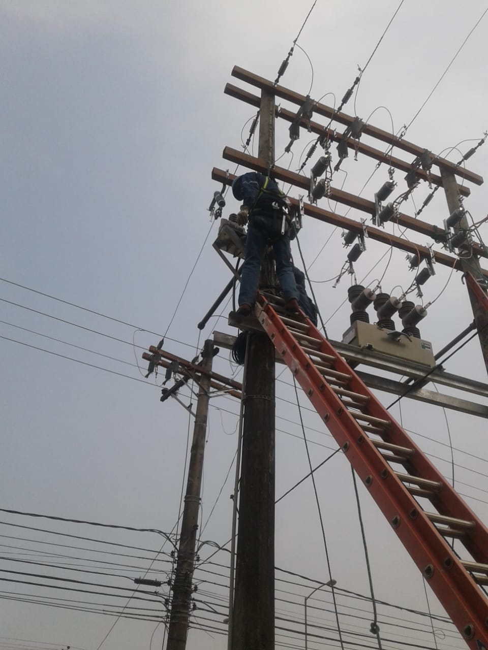 WhatsApp Image 2020-12-16 at 14.56.29 (1)